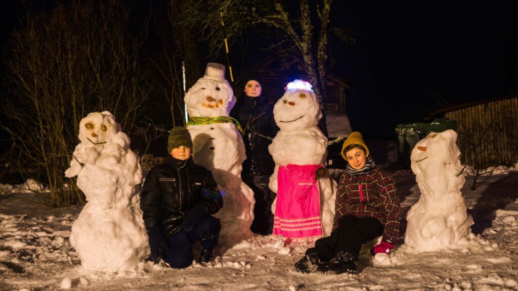 Aluksniesiem.lv raksta attēla aizvietotājs