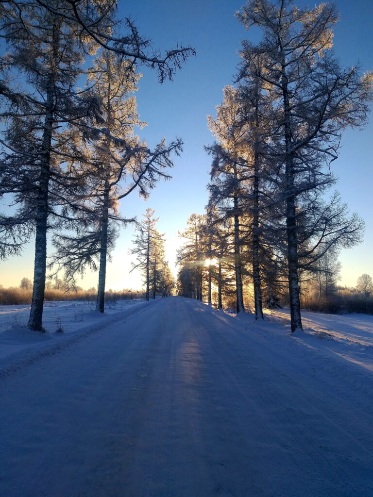 Trapenes lapegļu taka.
Autors: Foto: Svetlana Spalviņa