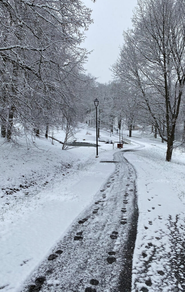 Vecais parks ziemā.