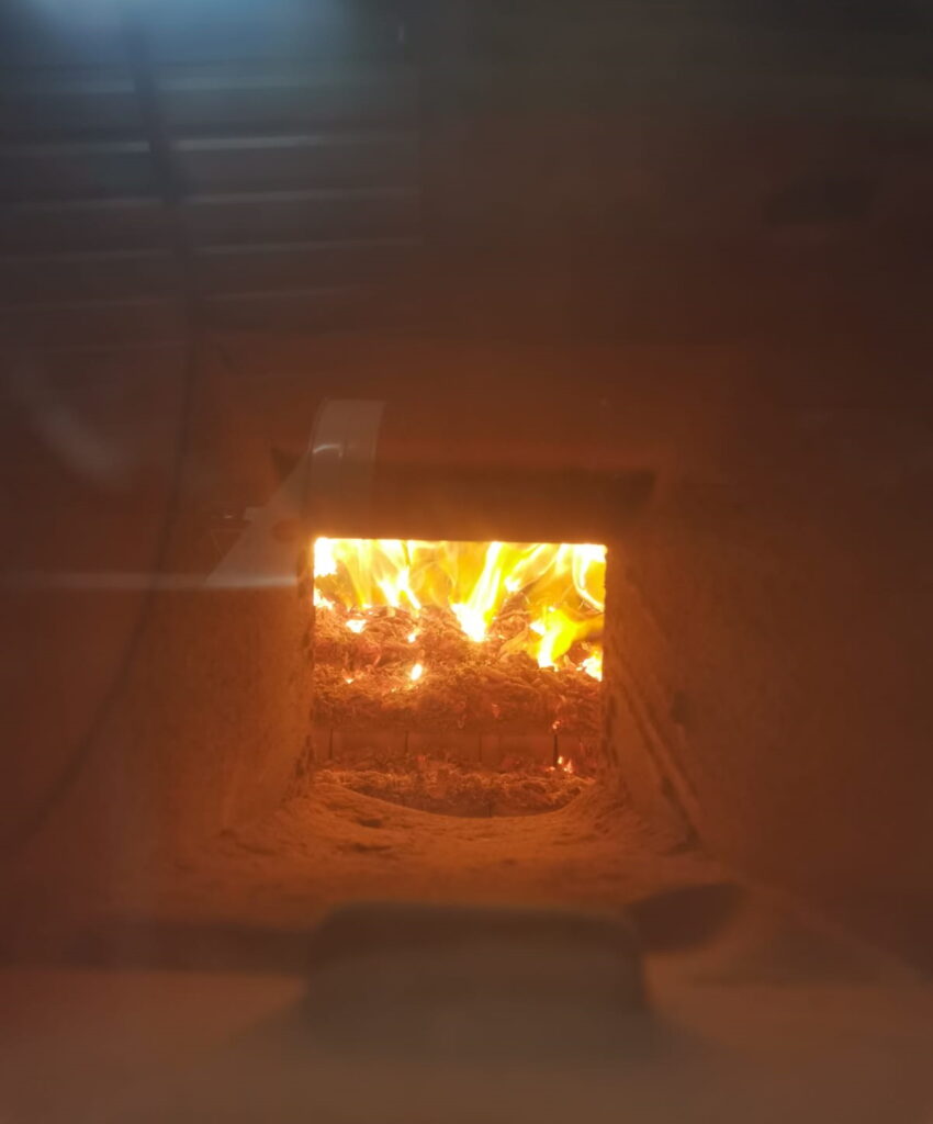 Autors: Foto: Aija Kramiņa