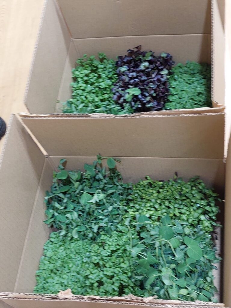 Autors: Foto: Dace Kalniņa un Alda Zvejniece