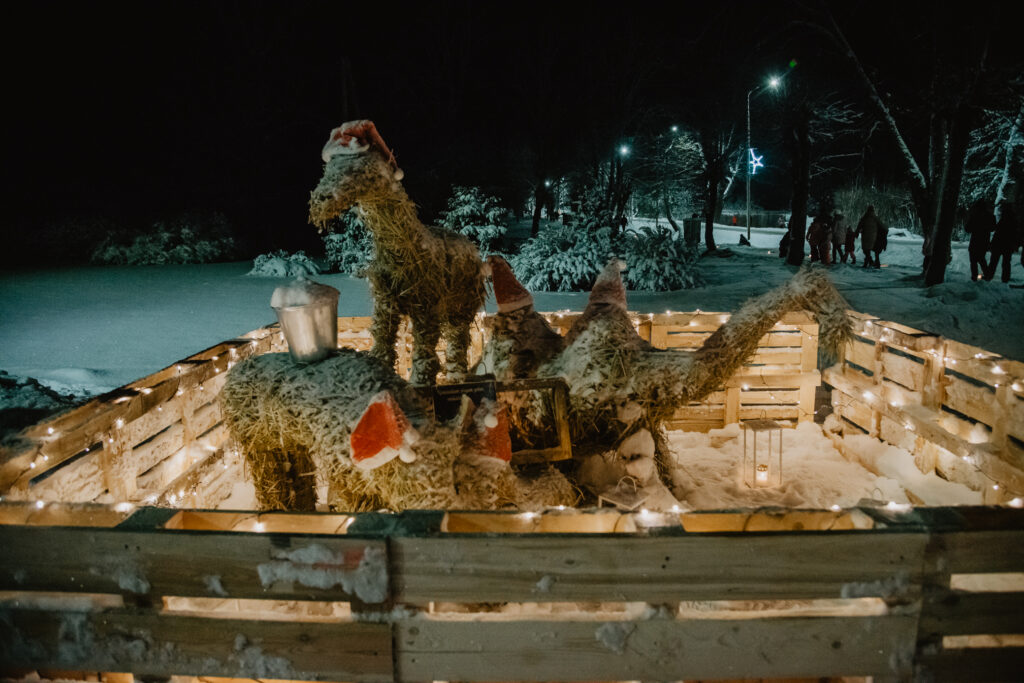 Aluksniesiem.lv raksta attēla aizvietotājs