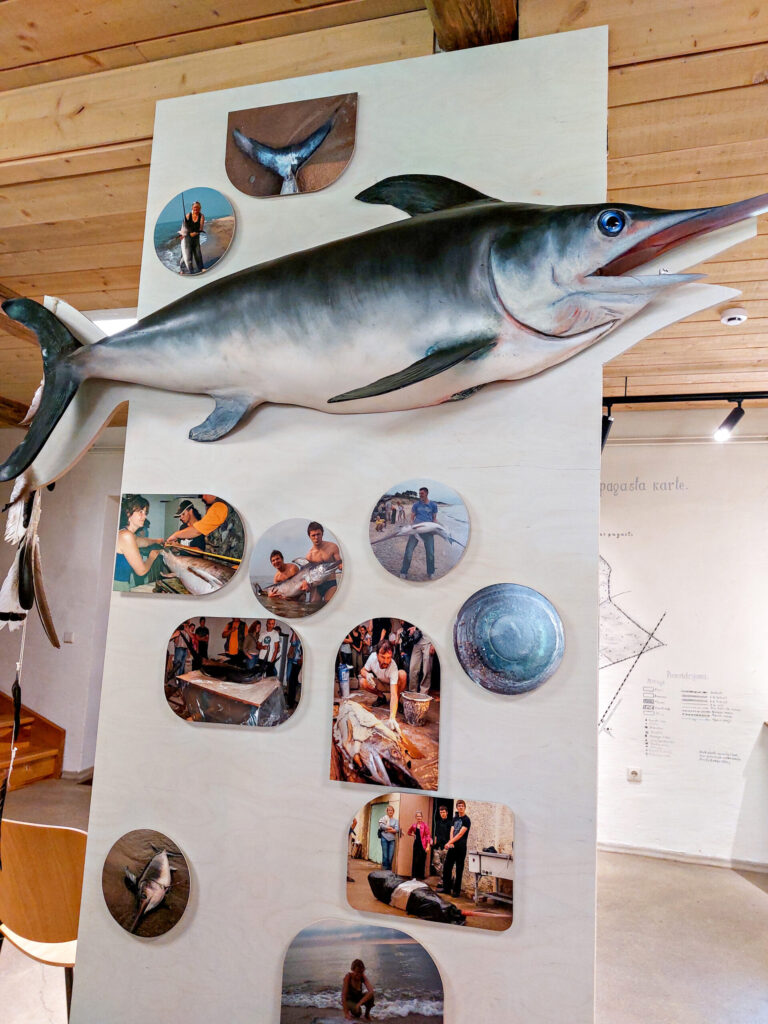 Ziemupē jūras krastā izskalotā zobenzivs bijusi 2,07 metrus gara, 38 kilogramus smaga. Zobenzivs zem ūdens var peldēt ar ātrumu 120 km/h.