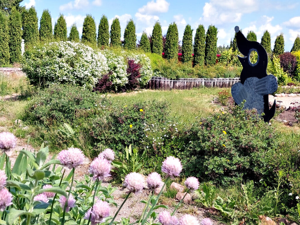 Sajūtu dārzs no augšas izskatās ka saulīte. Pa vidu ir nojumīte atpūtai un strūklaka veldzei.