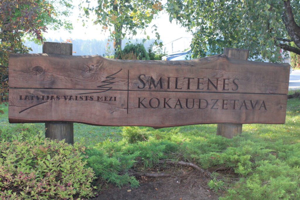 Izvērtējot tirgus situāciju un izmaksas, LVM vadība ir pieņēmusi lēmumu dekoratīvo stādu ražošanu savās kokaudzētavās pārtraukt, šo tirgu atstājot privāto audzētāju ziņā.