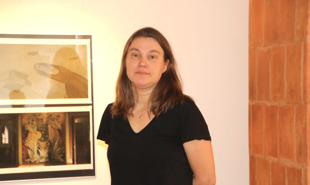 Aluksniesiem.lv raksta attēla aizvietotājs