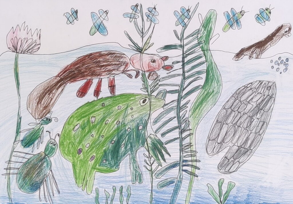 Beatrises Znotas darbs "Gaujas dzīve".