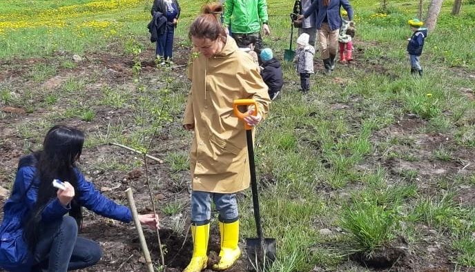 Aluksniesiem.lv raksta attēla aizvietotājs
