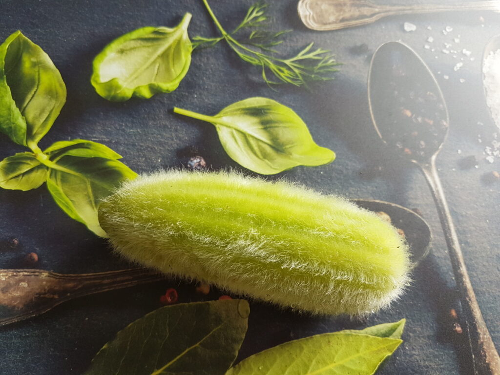 Autors: Publicitātes foto.