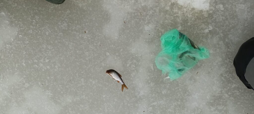 Autors: Foto: Valdis Šaicāns