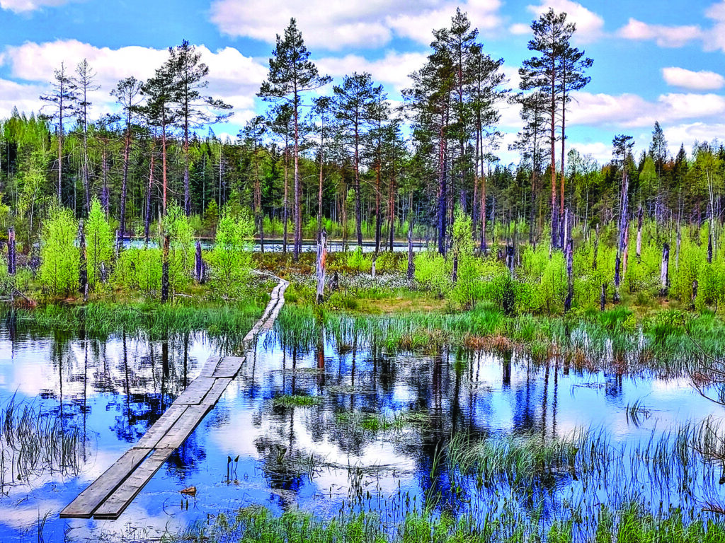 Lazdonas pagasta “Kalni” atrodas ļoti skaistā vietā.