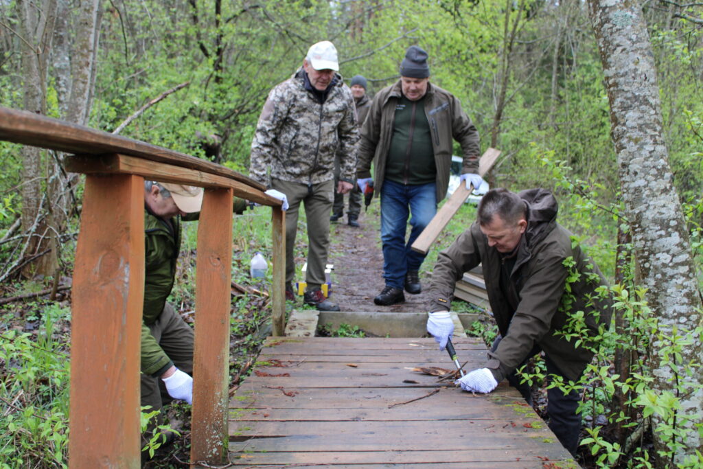 Aluksniesiem.lv raksta attēla aizvietotājs