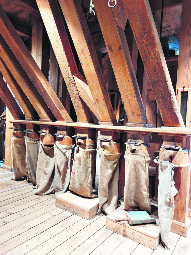 GATAVĀ PRODUKCIJA sabirst maisos.