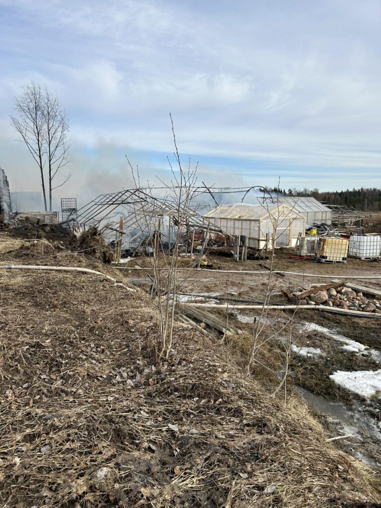 Ugunsnelaimē dārzkopji Indra un Andris Zauskas zaudēja savu māju un gadiem ilgi loloto vienīgo iztikas avotu – trīs siltumnīcas, kurās podiņos auga tūkstošiem stādu.