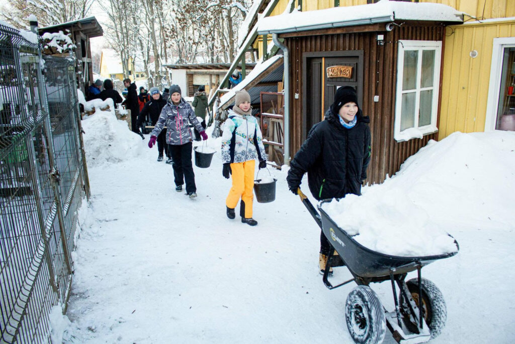 Aluksniesiem.lv raksta attēla aizvietotājs