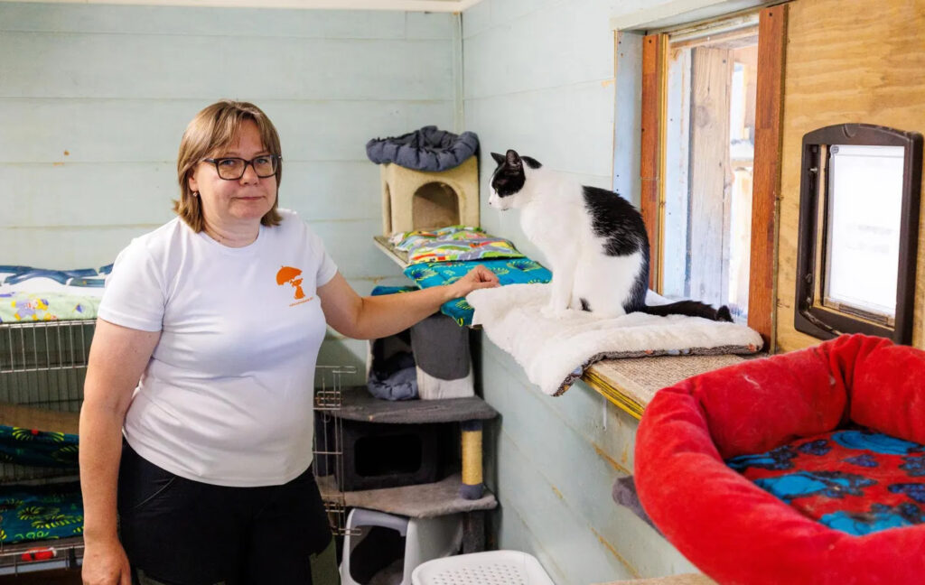 Aluksniesiem.lv raksta attēla aizvietotājs