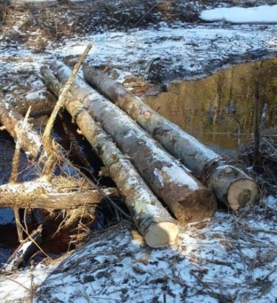 Autors: Foto: Ojārs Millers / Ludmila Kozačenko