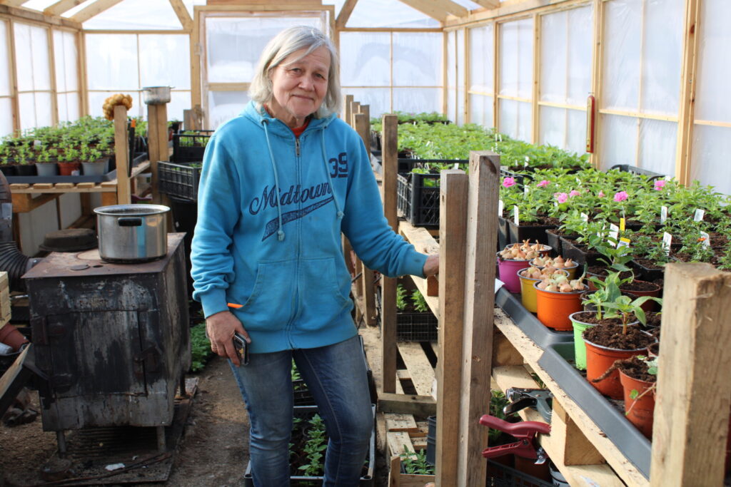 Šo siltumnīcu uguns neskāra. Tajā Indra pagaidām uzglabā uzņēmuma “SilJa” ziedotos vasaras puķu stādus, ko drīz varēs pārnest uz jauno siltumnīcu, tiklīdz tajā ierīkos apkuri.