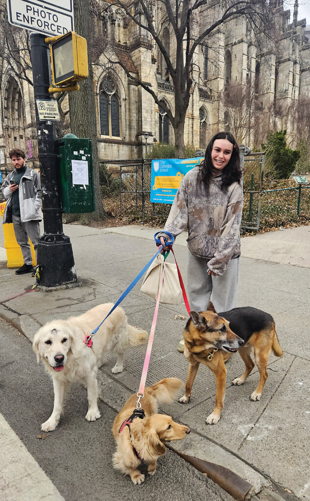 SUŅU STAIDZINĀTĀJI. Ņujorka man paliks atmiņā arī ar kādu prozaisku ainu – daudzajiem suņu staidzinātājiem. Uztici savus suņus kādam, kurš ar to ies pastaigās, kamēr tu pelni miljonus. Daži staidzinātāji bija redzami pat ar desmit suņiem. Šī meitene gan tikai ar trim.