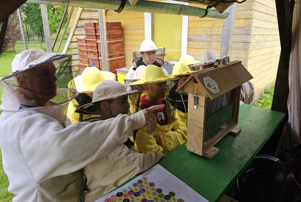 Aluksniesiem.lv raksta attēla aizvietotājs