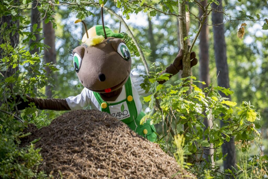 Aluksniesiem.lv raksta attēla aizvietotājs