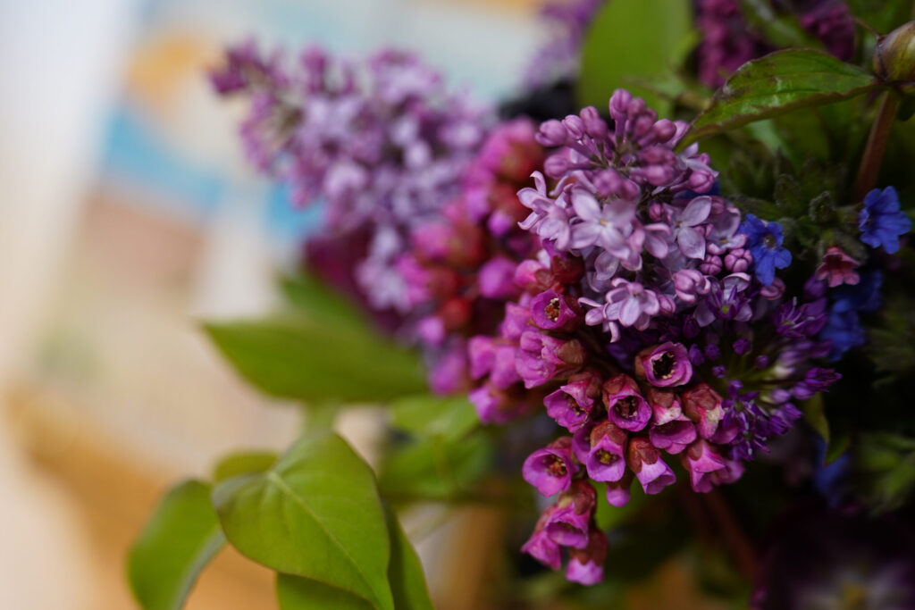 Autors: FOTO: Ance Andrējeva-Empele