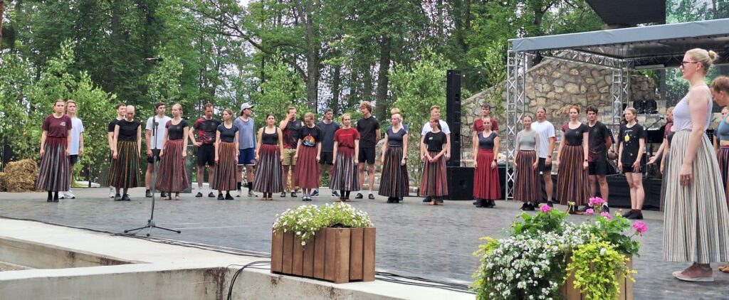 Uz skatuves mēģinājumā tiekas aktīvi, dejotmīloši jaunieši no jauniešu deju kolektīva “Dārdari” (Rīga) un jauniešu deju kolektīva “Buki” no Smiltenes, lai iemēģinātu deju soli un veiktu vēl pēdējās korekcijas pirms vakara uzstāšanās koncertuzvedumā “Annas tantes piruetes”. Izrāde vēstī par kapusvētkiem kā mūsu tautas spilgtu un joprojām dzīvu tradīciju.