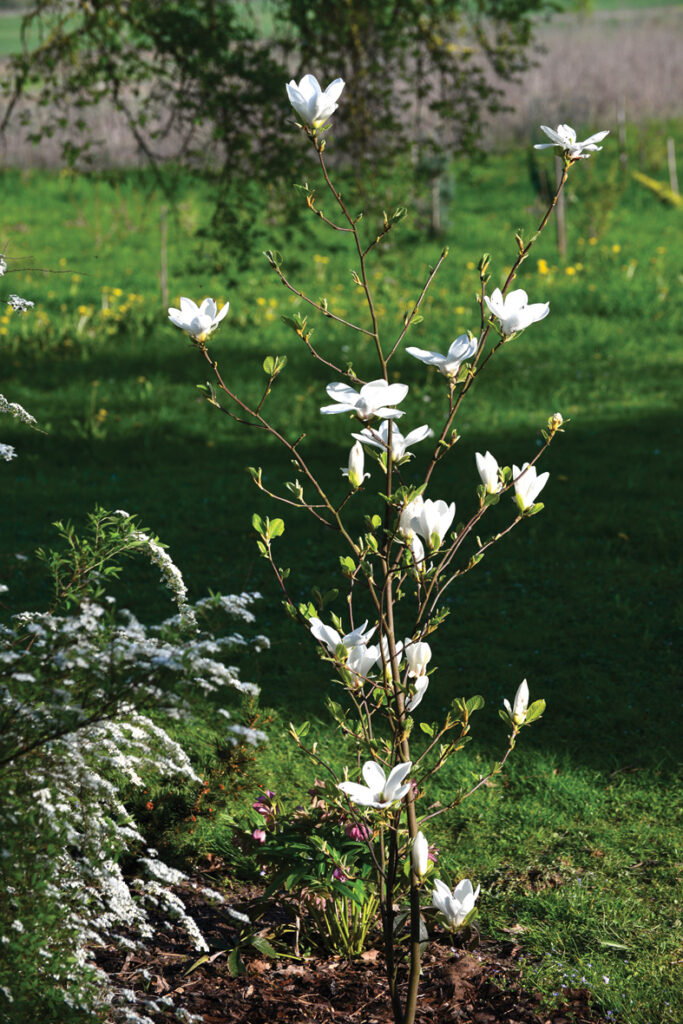 ‘STRING OF PEARLS’.