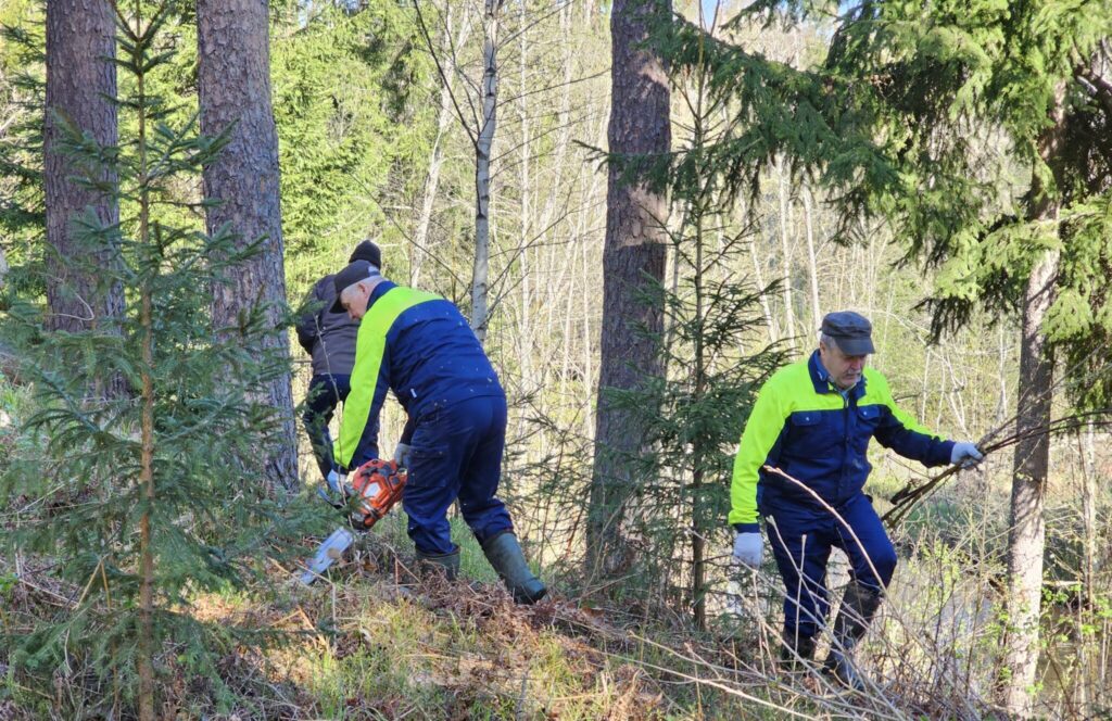 Aluksniesiem.lv raksta attēla aizvietotājs