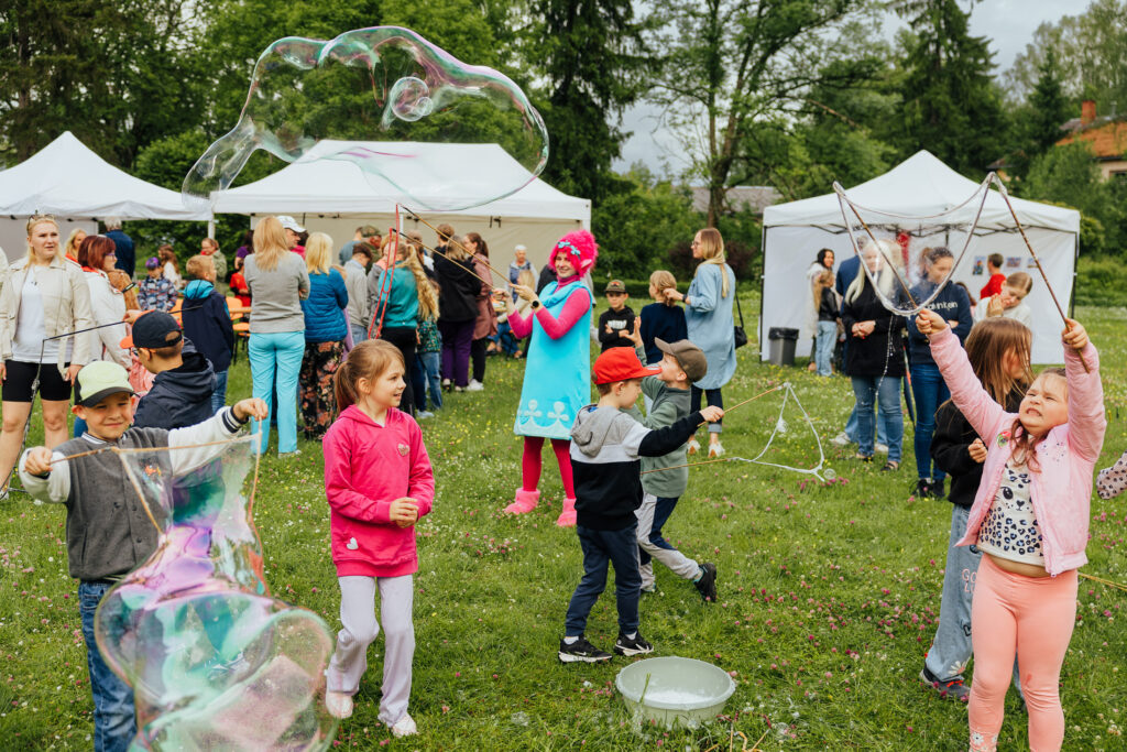 Aluksniesiem.lv raksta attēla aizvietotājs