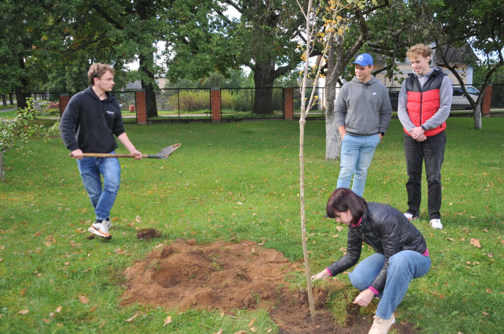 Aluksniesiem.lv raksta attēla aizvietotājs