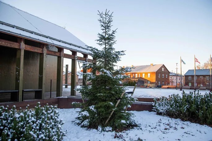 Aluksniesiem.lv raksta attēla aizvietotājs